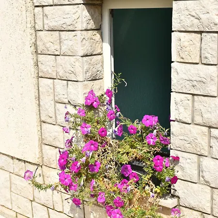 Apartament Buba